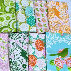 Heather Bailey Up Parasol Half Yard Bundle