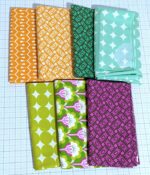 Heather Bailey True Colors half yard bundle